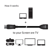 CLUB3D cac-1023 3 m DisplayPort Svart