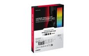 Kingston Technology FURY Renegade RGB RAM-minnen