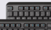 Trust TK-350 tangentbord Kontor RF Trådlös QWERTZ tyska Svart